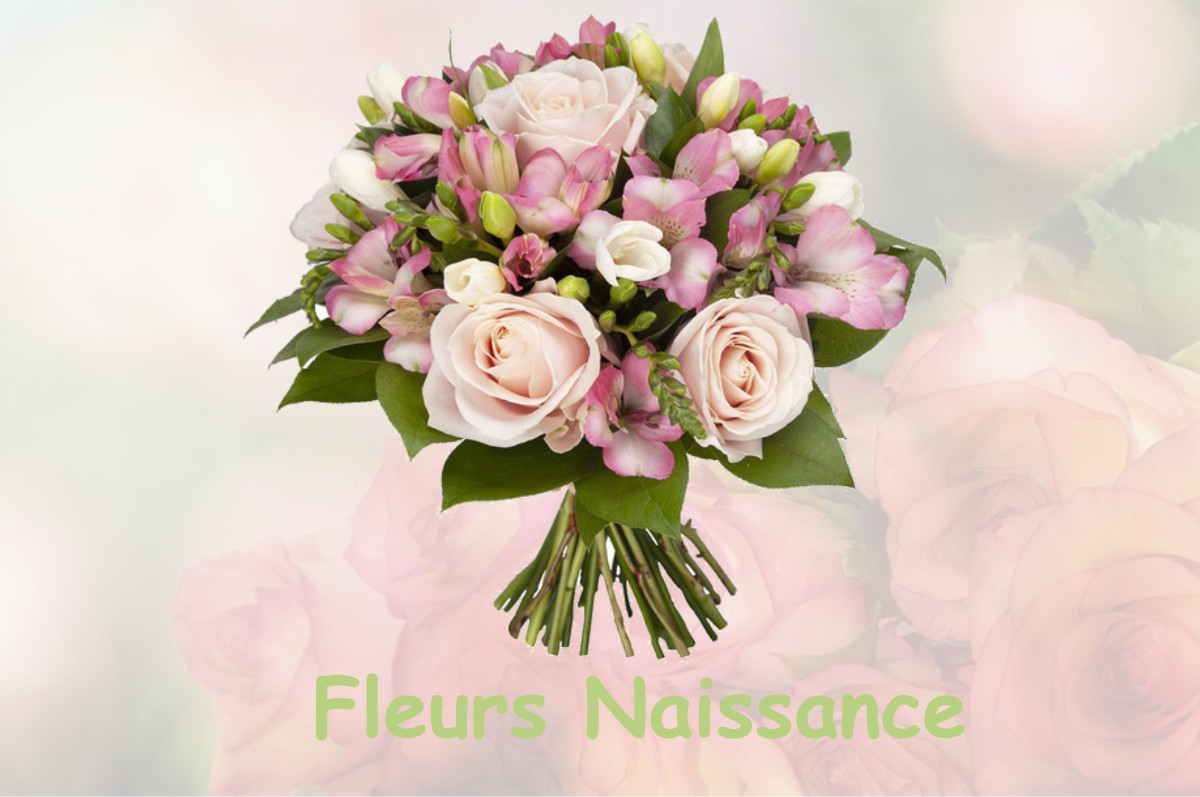 fleurs naissance NEUVY-PAILLOUX