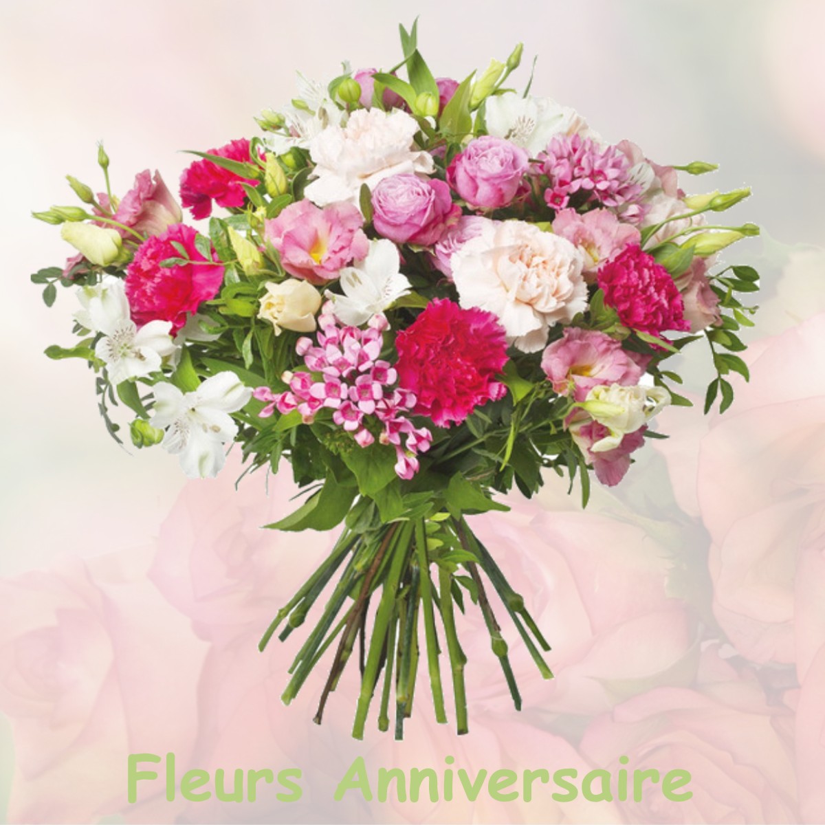 fleurs anniversaire NEUVY-PAILLOUX